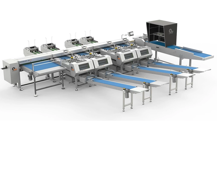 Egg GraderView Solutions